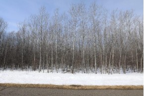 79.5 AC Popple Rd