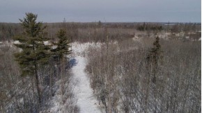 79.5 AC Popple Rd