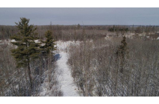 79.5 AC Popple Rd, Antigo, WI 54409