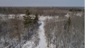 79.5 AC Popple Rd