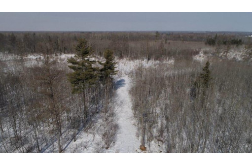 79.5 AC Popple Rd, Antigo, WI 54409