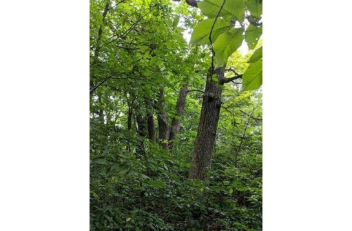 LOT 17 - 18 County Road J, New Glarus, WI 53574