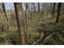 181.10 AC County Road E, Richland Center, WI 53581