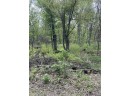 2.8 AC Deer Run Rd, Montello, WI 53949