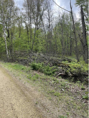 2.8 AC Deer Run Rd