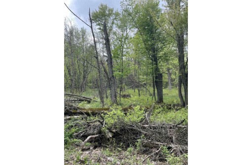 2.8 AC Deer Run Rd, Montello, WI 53949