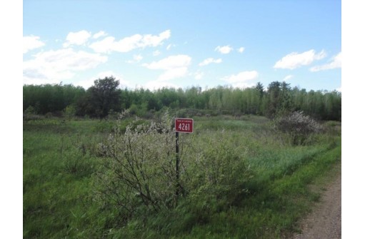 4261 Back Country Ln, Harshaw, WI 54529