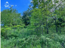 .83 ACRE Bluff St, Cazenovia, WI 53924