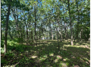 3.73 ACRES American Heritage Rd De Soto, WI 54624