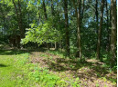 3.73 ACRES American Heritage Rd, De Soto, WI 54624