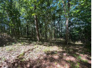 3.73 ACRES American Heritage Rd, De Soto, WI 54624