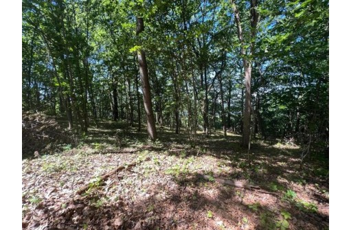 3.73 ACRES American Heritage Rd, De Soto, WI 54624