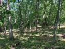 3.73 ACRES American Heritage Rd, De Soto, WI 54624