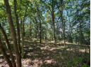 3.73 ACRES American Heritage Rd, De Soto, WI 54624