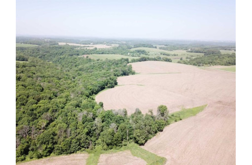 +/- 25 ACRE County Road F, Hillsboro, WI 54634