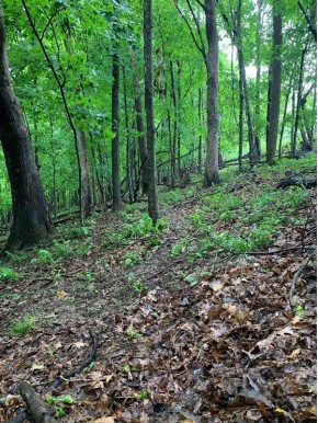 +/- 25 ACRE County Road F