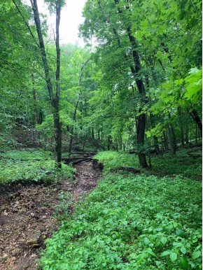 +/- 25 ACRE County Road F