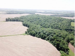 +/- 25 ACRE County Road F