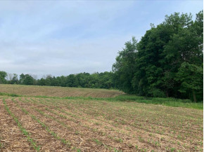 +/- 25 ACRE County Road F