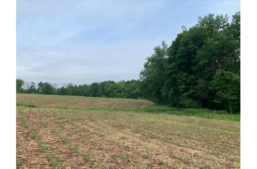 +/- 25 ACRE County Road F, Hillsboro, WI 54634