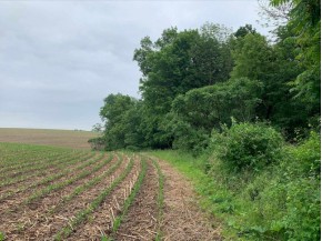 +/- 25 ACRE County Road F