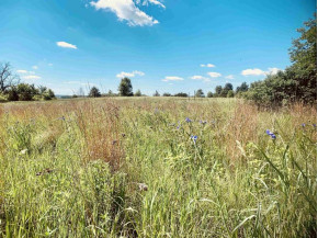 3.95 AC County Road Y