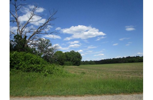 LOT 1 Cottonville Dr & 20th Ave, Arkdale, WI 54613