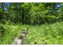 27 ACRES Bluff Rd, Greenfield, WI 53913