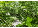 27 ACRES Bluff Rd, Greenfield, WI 53913