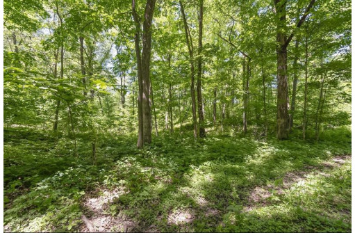 27 ACRES Bluff Rd, Greenfield, WI 53913