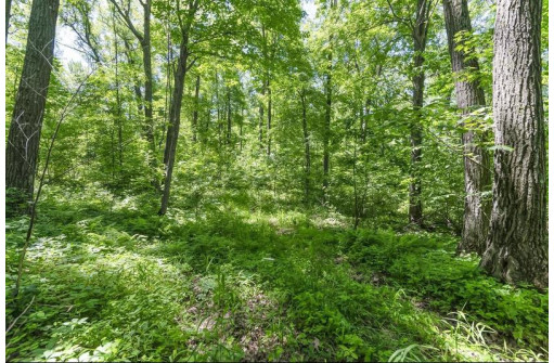 27 ACRES Bluff Rd, Greenfield, WI 53913