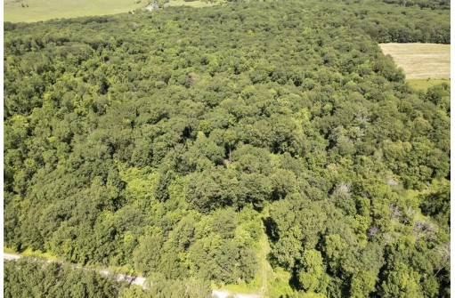 27 ACRES Bluff Rd, Greenfield, WI 53913