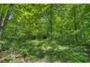 18220 Patch Hill Dr, Viola, WI 54664