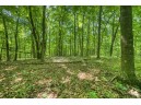 18220 Patch Hill Dr, Viola, WI 54664