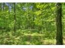 18220 Patch Hill Dr, Viola, WI 54664