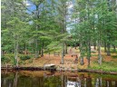 9854 Swamp Lake Rd, Tomahawk, WI 54487