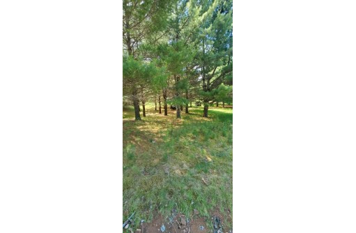 10377 Forest Rd, Tomahawk, WI 54487