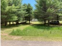 10377 Forest Rd, Tomahawk, WI 54487