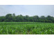 22.63 AC Rocky Point Rd Baraboo, WI 53913