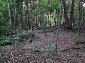 9.82 ACRES County Road A