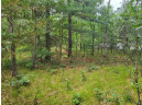 LOT 10 Birch Ave, Friendship, WI 53934