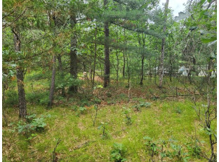 LOT 10 Birch Ave Friendship, WI 53934