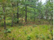 LOT 10 Birch Ave Friendship, WI 53934