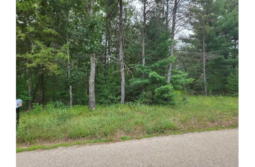 LOT 10 Birch Ave, Friendship, WI 53934