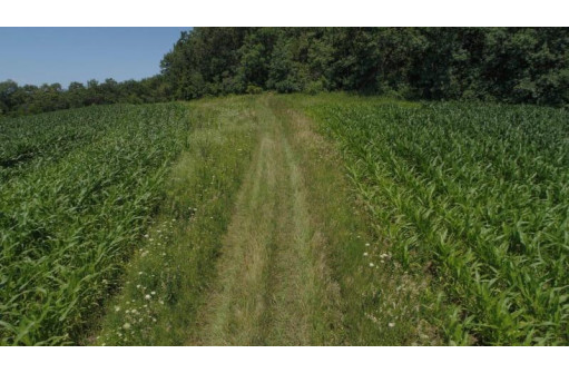 39.58 AC Pollander Rd, Prairie Du Chien, WI 53821