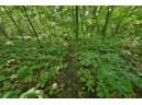 39.58 AC Pollander Rd, Prairie Du Chien, WI 53821