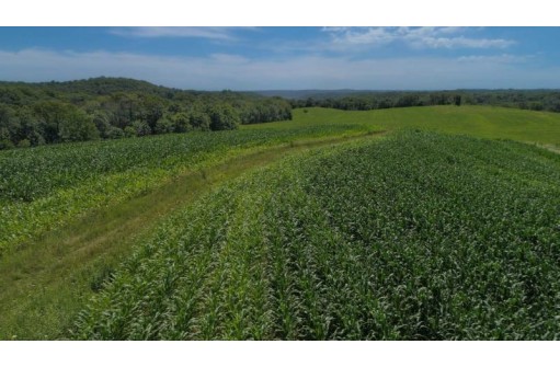 39.58 AC Pollander Rd, Prairie Du Chien, WI 53821