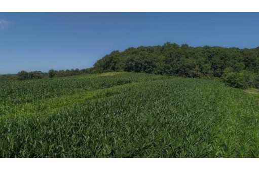 39.58 AC Pollander Rd, Prairie Du Chien, WI 53821