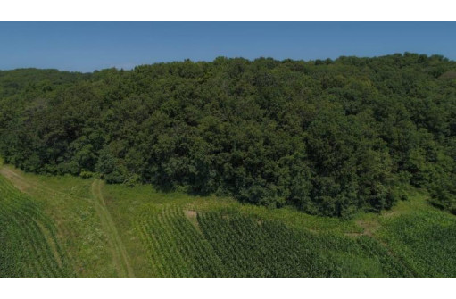 39.58 AC Pollander Rd, Prairie Du Chien, WI 53821