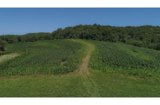 39.58 AC Pollander Rd, Prairie Du Chien, WI 53821